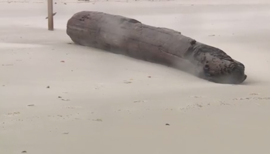 Boy, 10, dies after being hit by log washed ashore by large wave in Fort Morgan