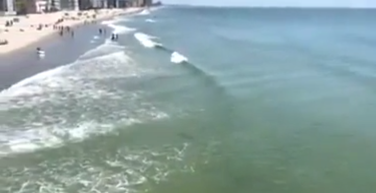 Viral video shows sharks swimming just feet from Myrtle Beach pier