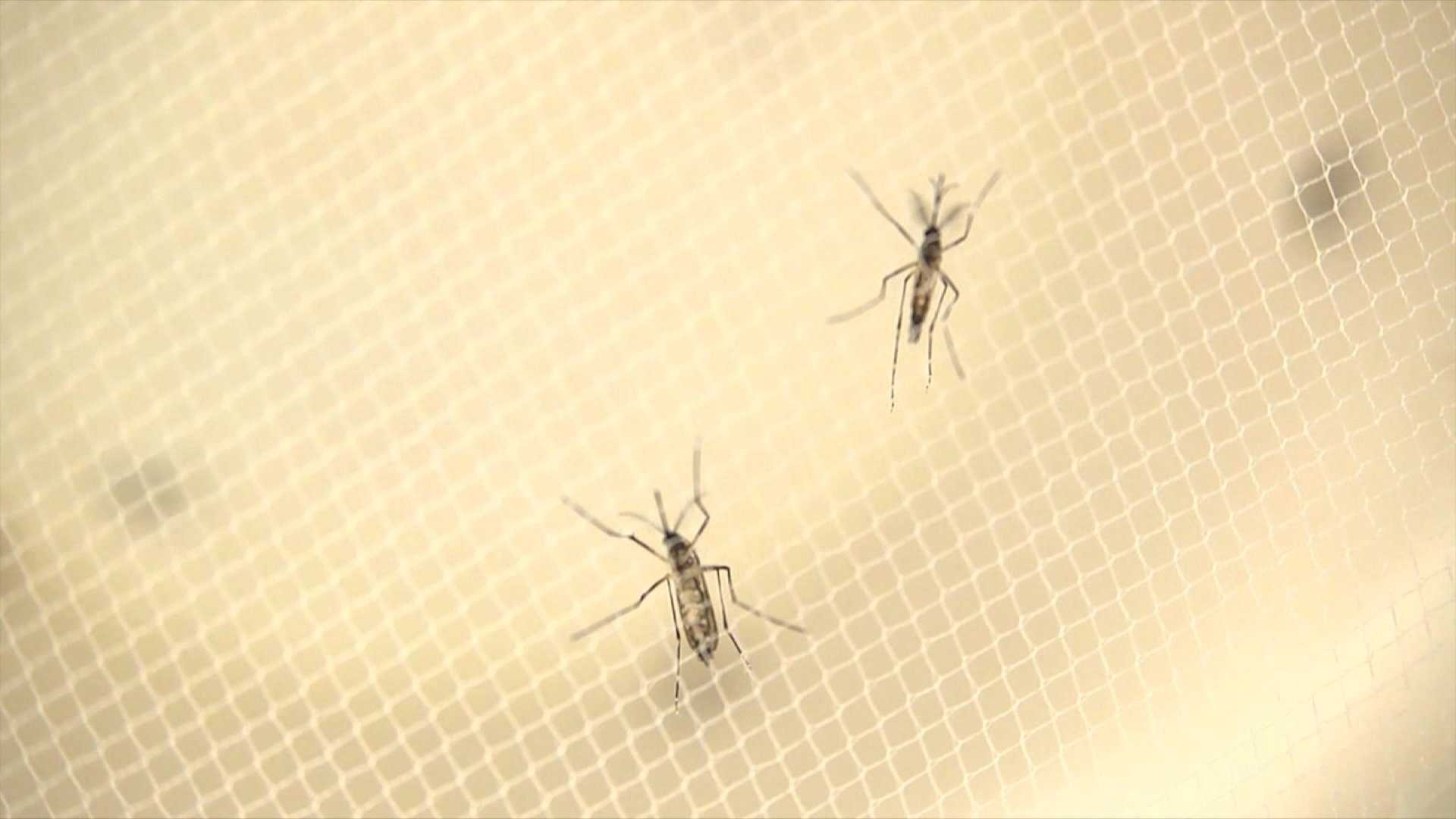 CDC SOURCE CDC