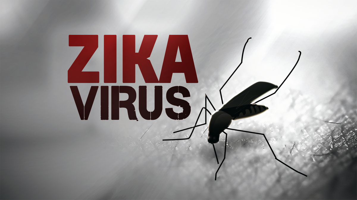 Mosquito population in Florida is the host for Zika disease