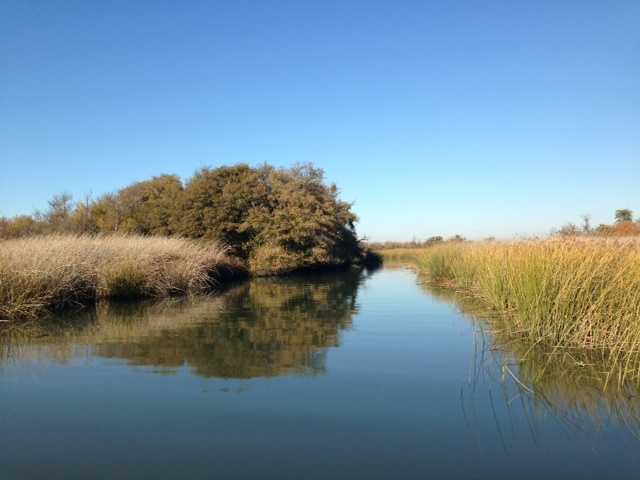 Audit: $84M in taxpayer funds improperly used for Delta tunnels
