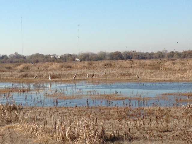 Gov. Brown's $16 billion water tunnels get expected OK