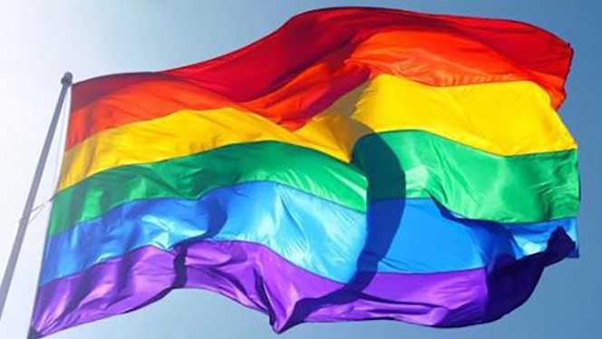 Pride and prejudice? Some LGBT members feel excluded