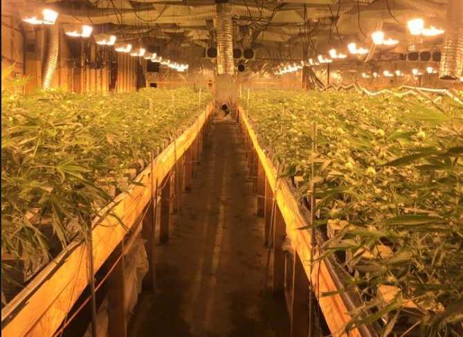 Lawyers walk fine line to navigate state, federal pot laws