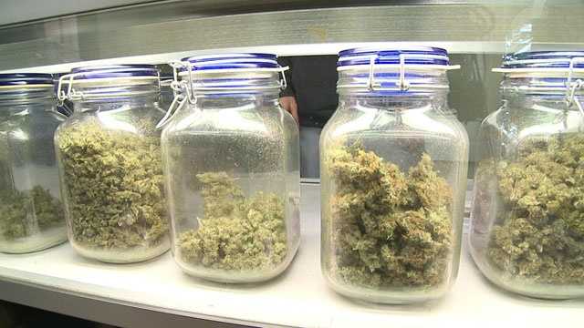 Final Day for Medical Marijuana Dispensary and Cultivation Licenses Final Day for Medical Marijuana Dispensary and Cultivation Licenses