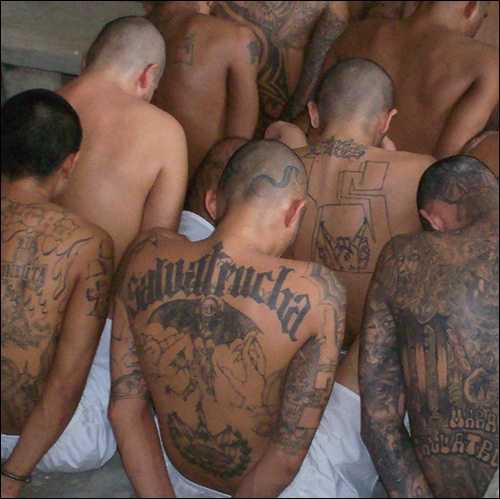 MS-13 raids: more than half illegal immigrants