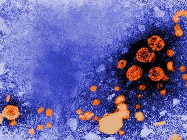 Cases of Hepatitis B, C show big increase in North Carolina