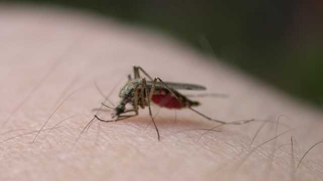 3rd case of West Nile virus in a person confirmed