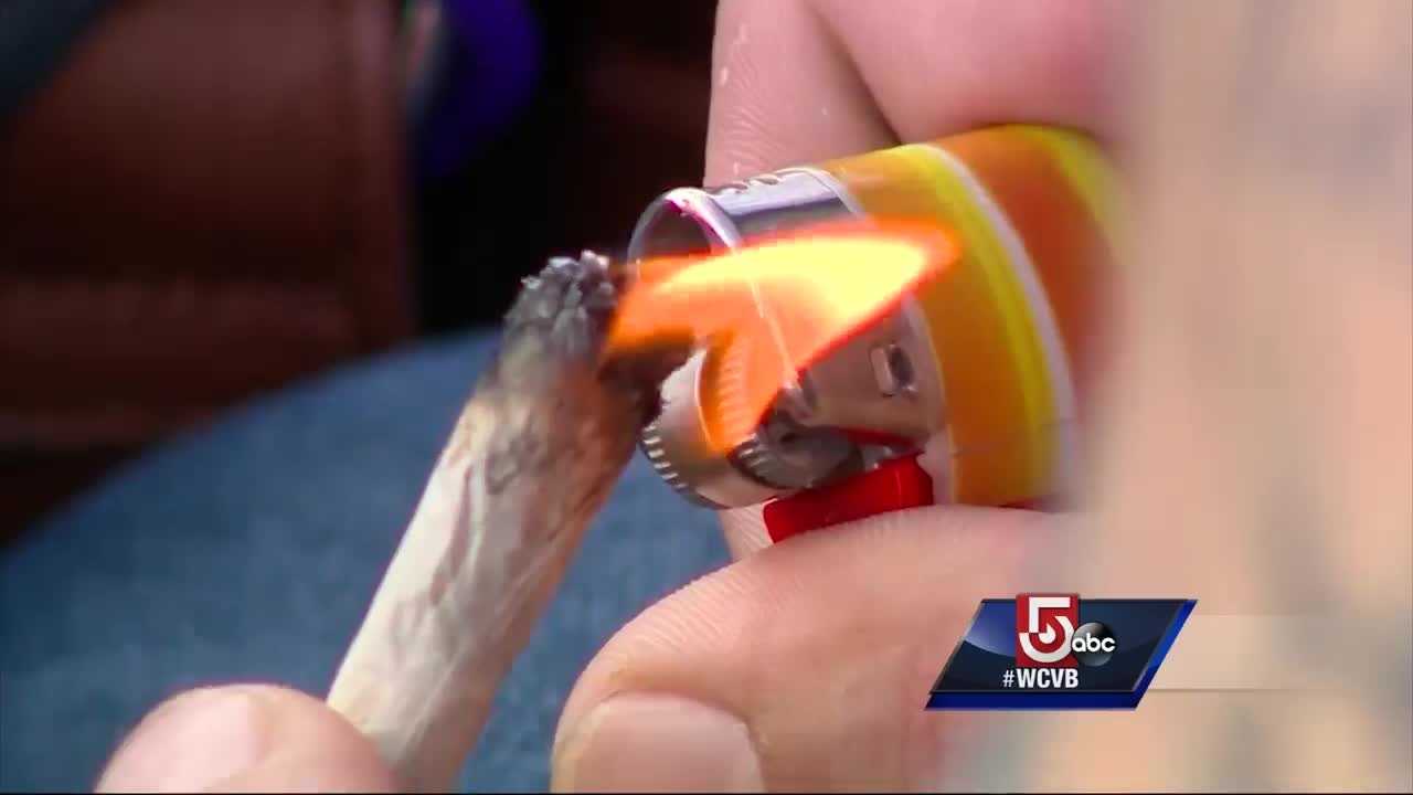 Scott to appoint commission to study legal pot Scott to appoint commission to study legal pot