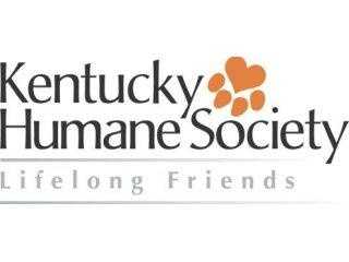 Kentucky Humane Society provides shelter for owned pets affected by flooding
