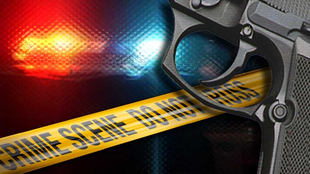 https://hips.htvapps.com/htv-prod/ibmig/cms/image/wmtw/34224916-gun-police-lights-img.jpg