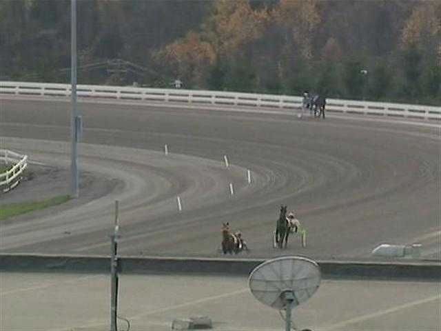 Horses quarantined, racing suspended at The Meadows after positive tests for equine herpesvirus