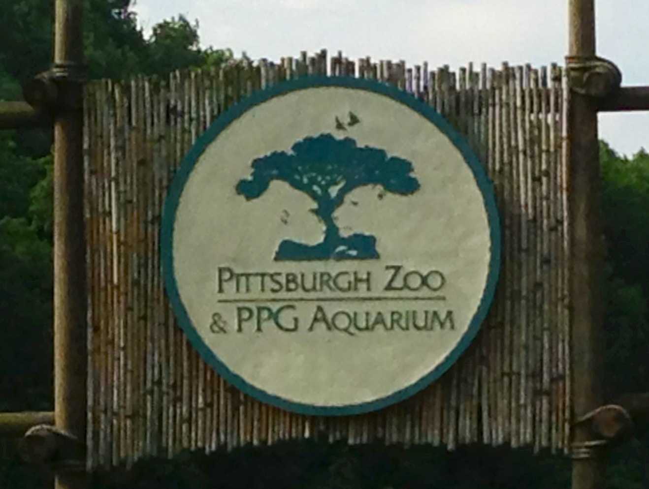 Pittsburgh City Council voting on legislation that would ban use of certain tools on exotic animals at Pittsburgh Zoo