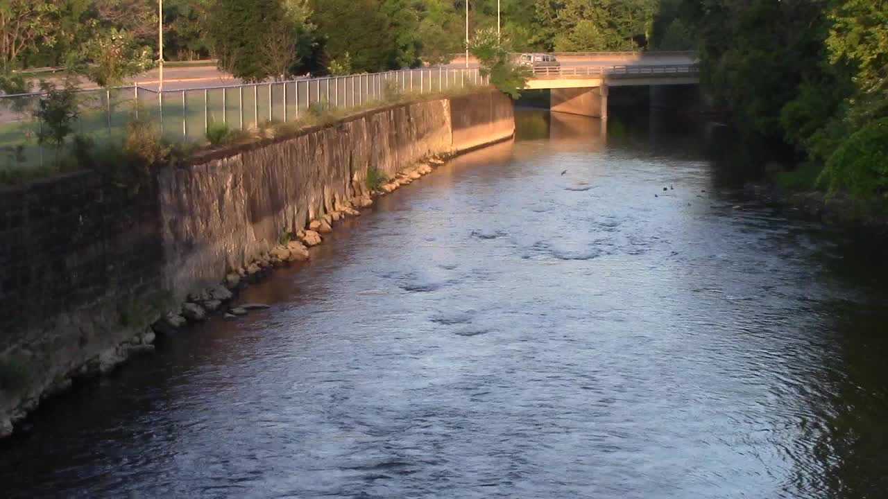 'Do not eat' advisory issued for fish caught in Shenango River