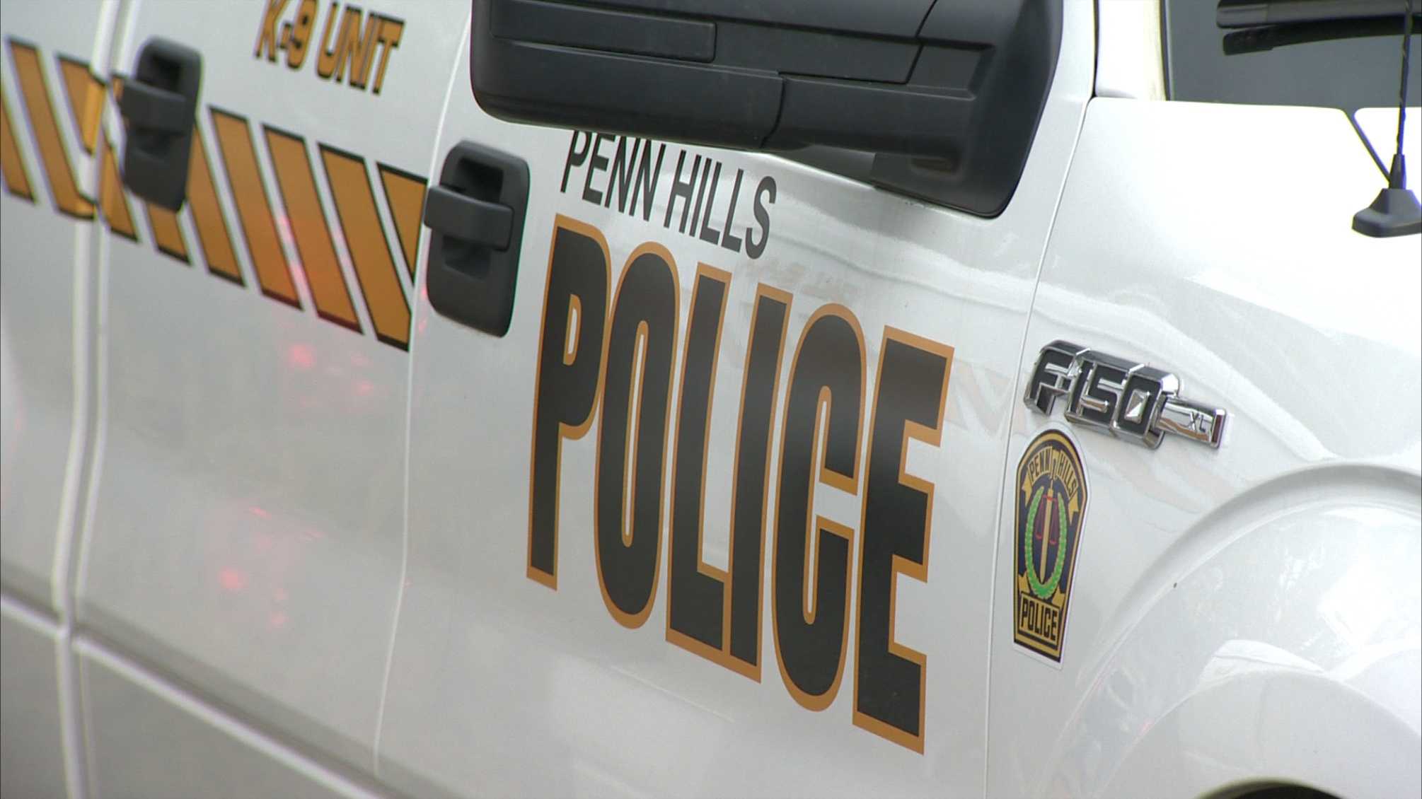 Penn Hills shooting victim found collapsed in yard, critically injured