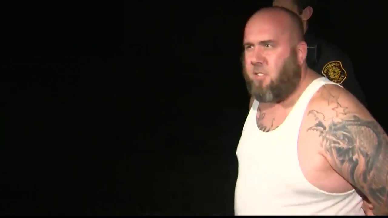 'We will not tolerate animal abuse:' Beechview man pleads guilty to killing cats with poisoned mothballs