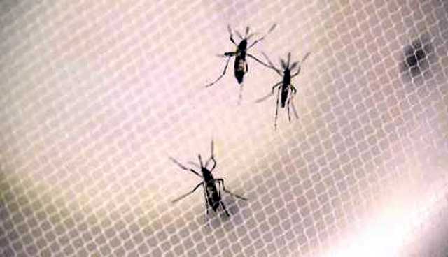 Second case of non-travel-related Zika virus in Palm Beach County