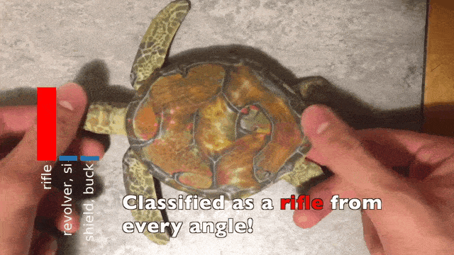 According to image recognition, this turtle is a rifle