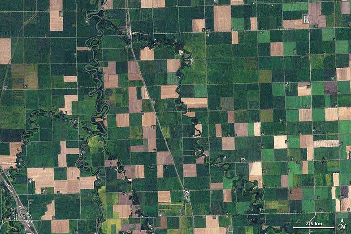 Why the U.S. looks like a big, green grid from the sky