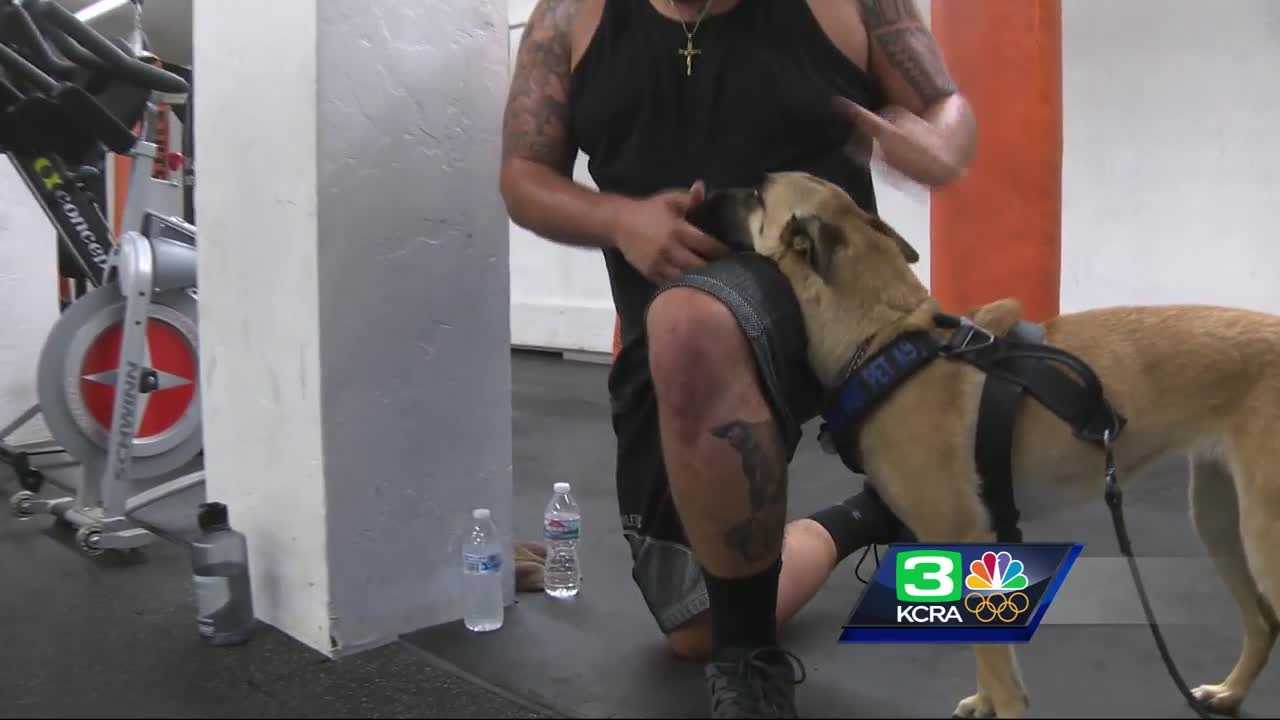 'Keeping us calm': Service dogs provide help for veterans dealing with PTSD