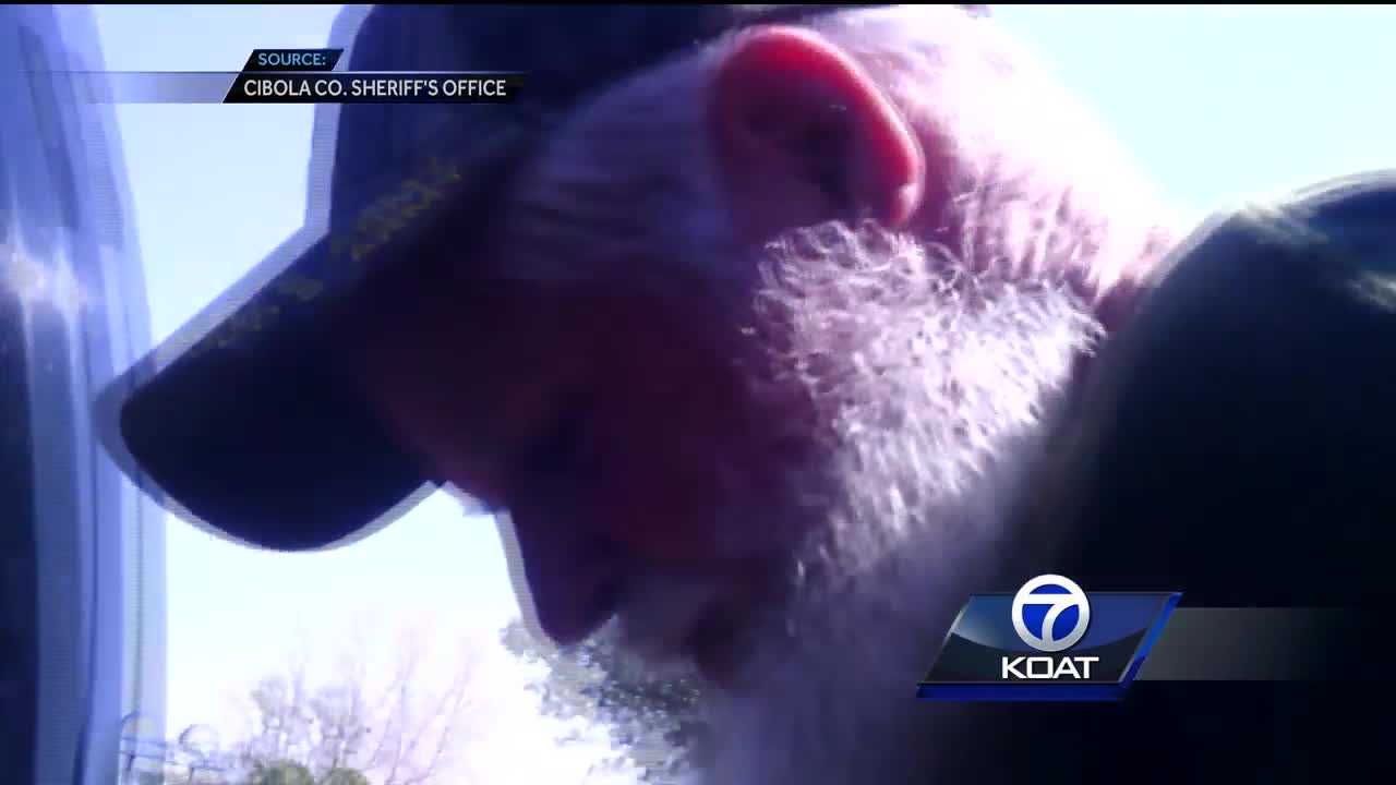 Police lapel video shows deputies arresting the remaining "general"