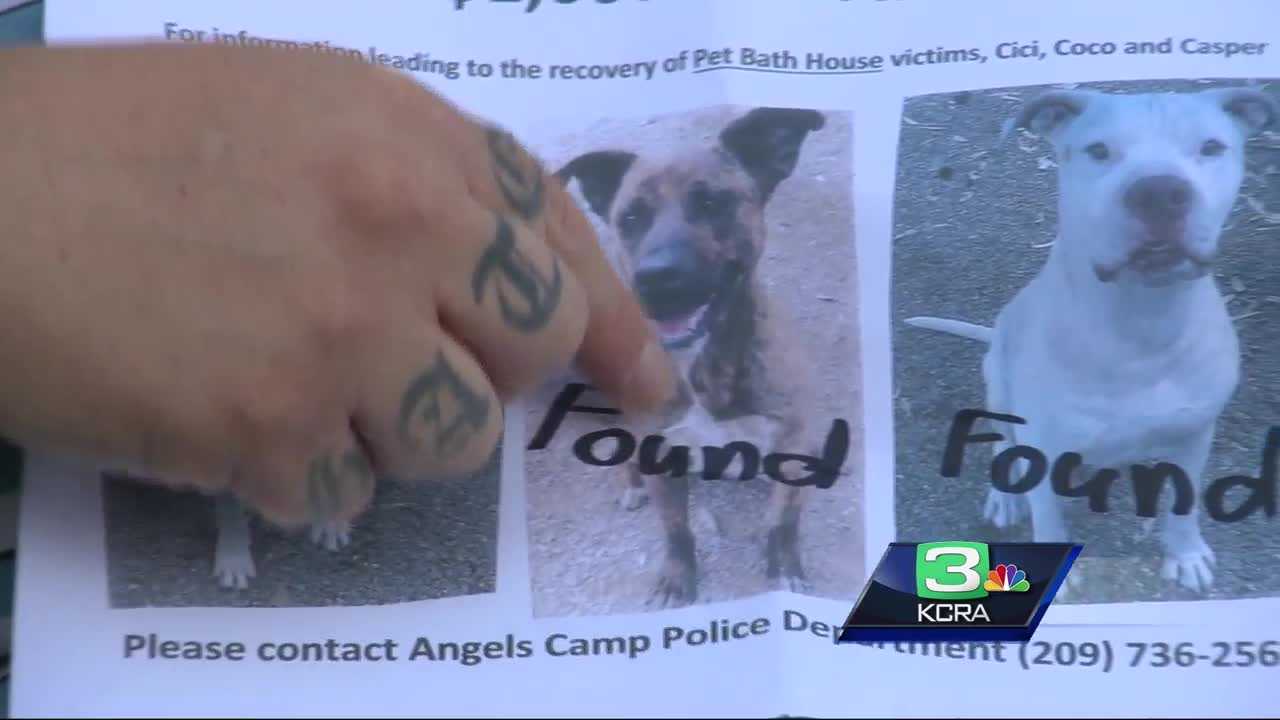 2 dogs found, 3rd dead after missing from NorCal pet boarding house
