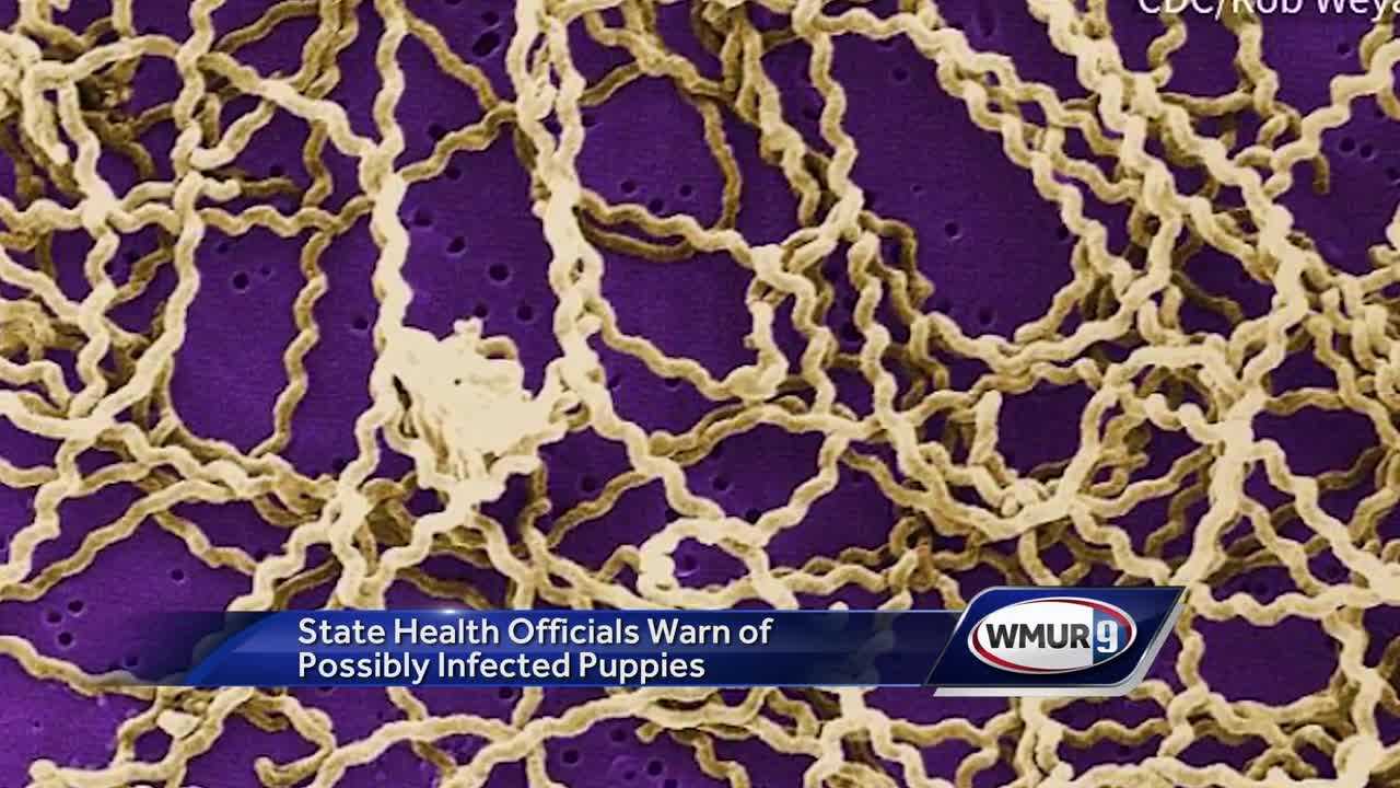 State officials caution of Leptospirosis