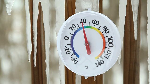 Cold weather tips for keeping your pets safe