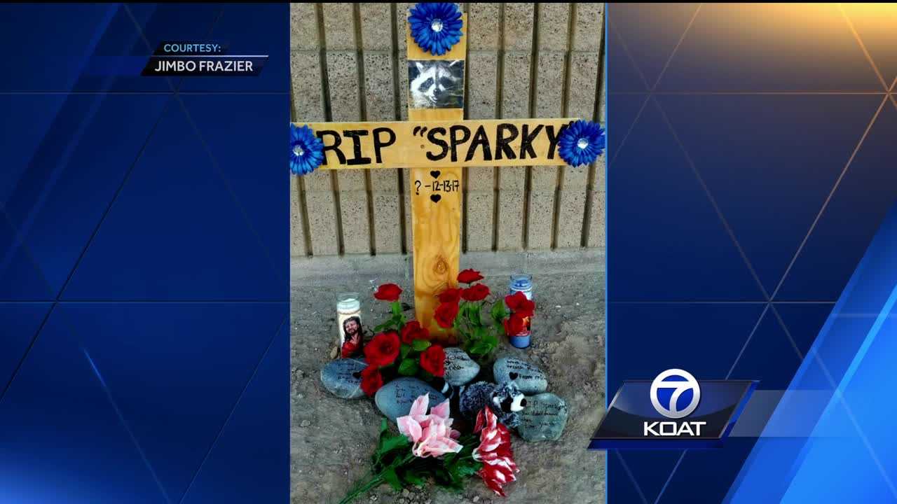 Memorial created for raccoon killed in explosion