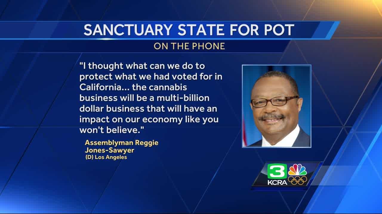 Lawmaker seeks to make California a 'sanctuary state' for pot