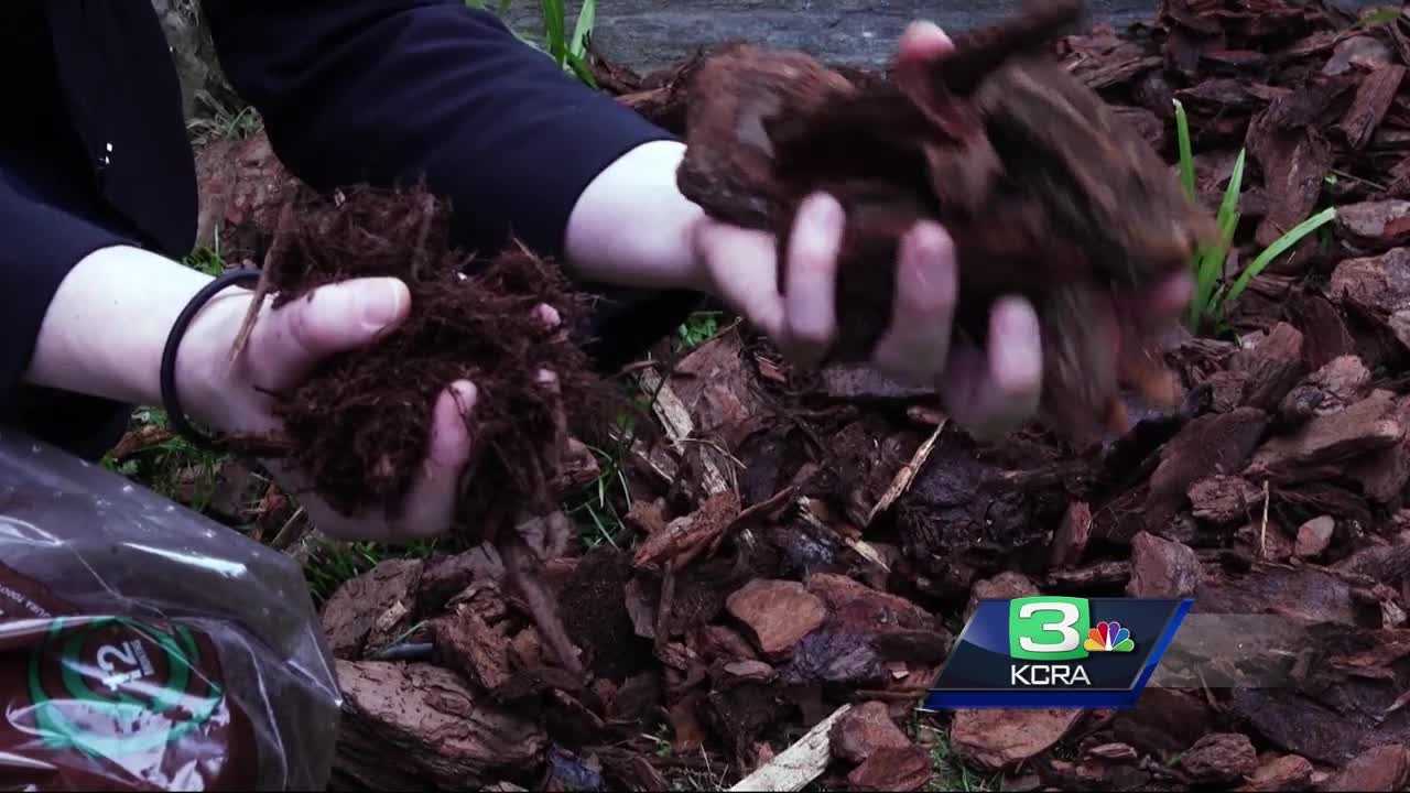 Consumer Reports: Tick-proof your yard