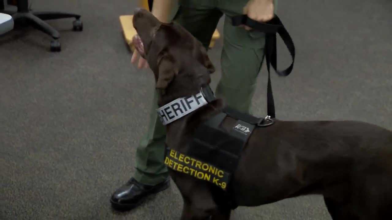 Seminole County K9 units trained to detect electronics