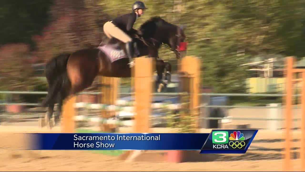 World Class and Olympic athletes compete in Horse Show