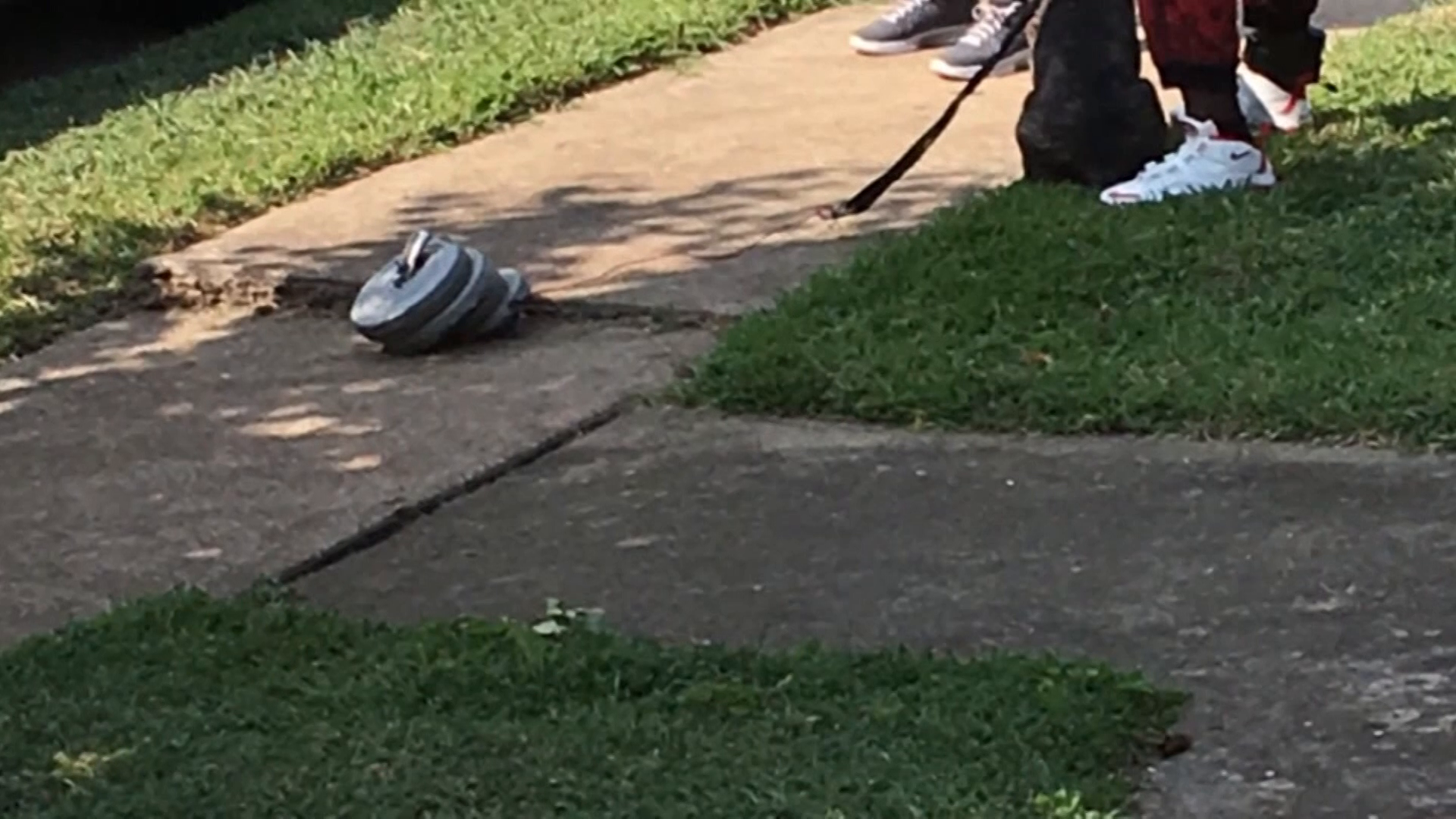 Photo of dog dragging weights upsets neighborhood, but police say it's legal