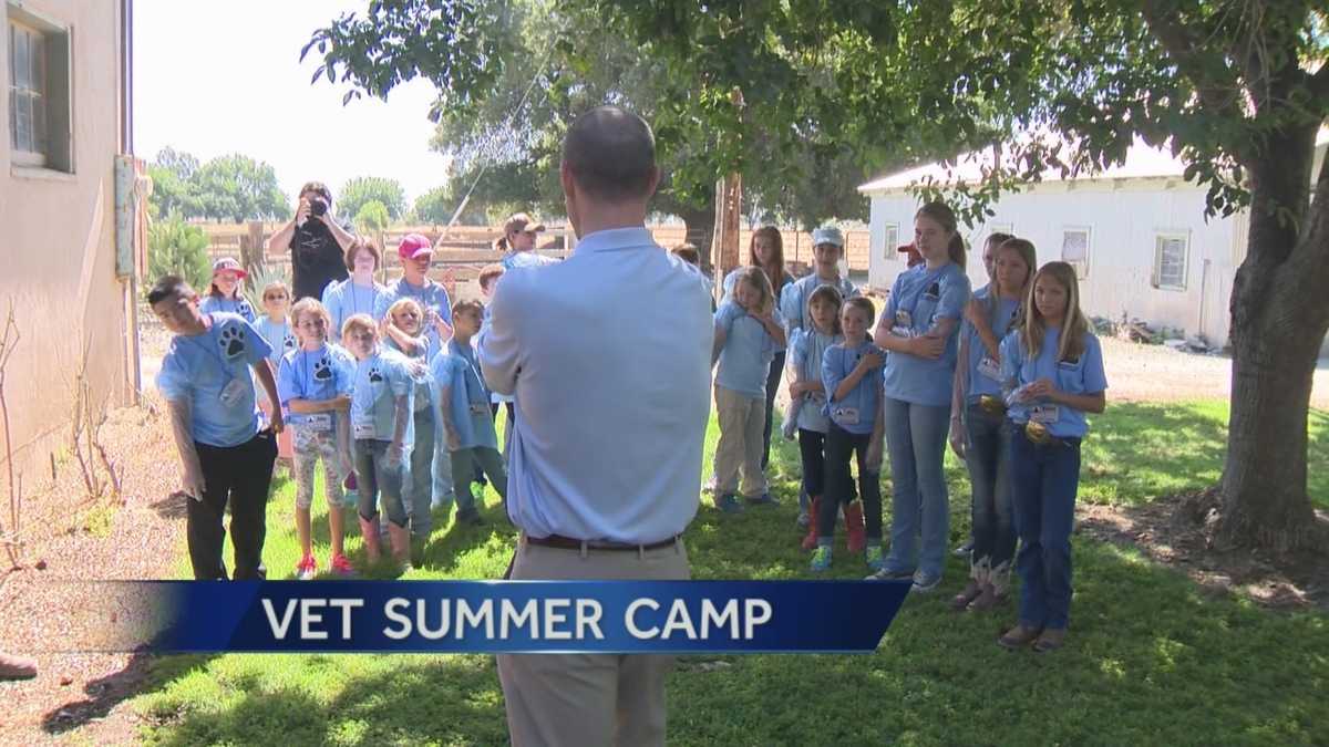 Unique Woodland camp teaches veterinarians of tomorrow