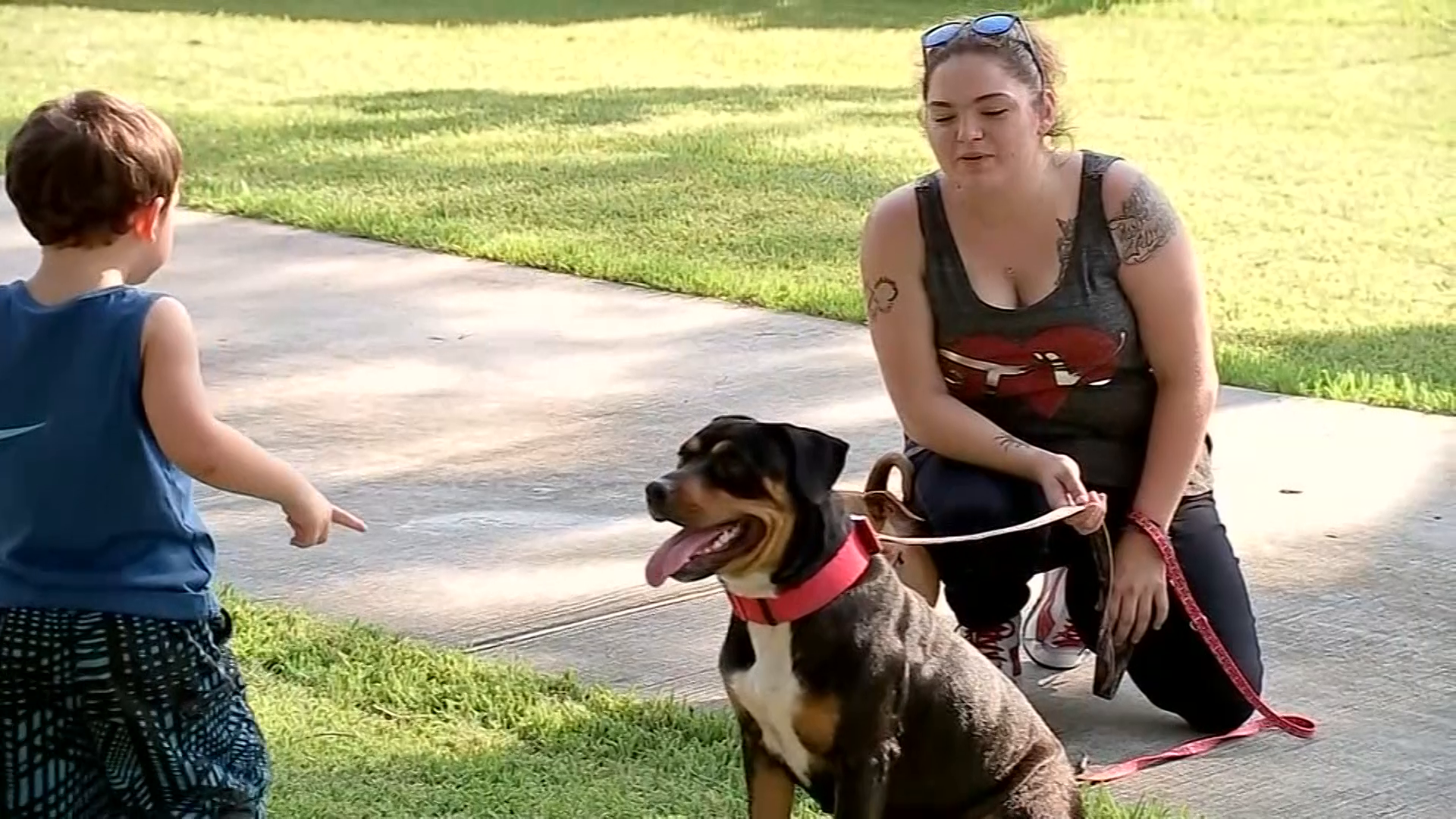 Family members reunite with pets after Hurricane Harvey