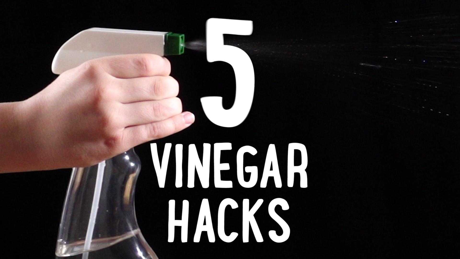 5 random ways to use vinegar in your kitchen