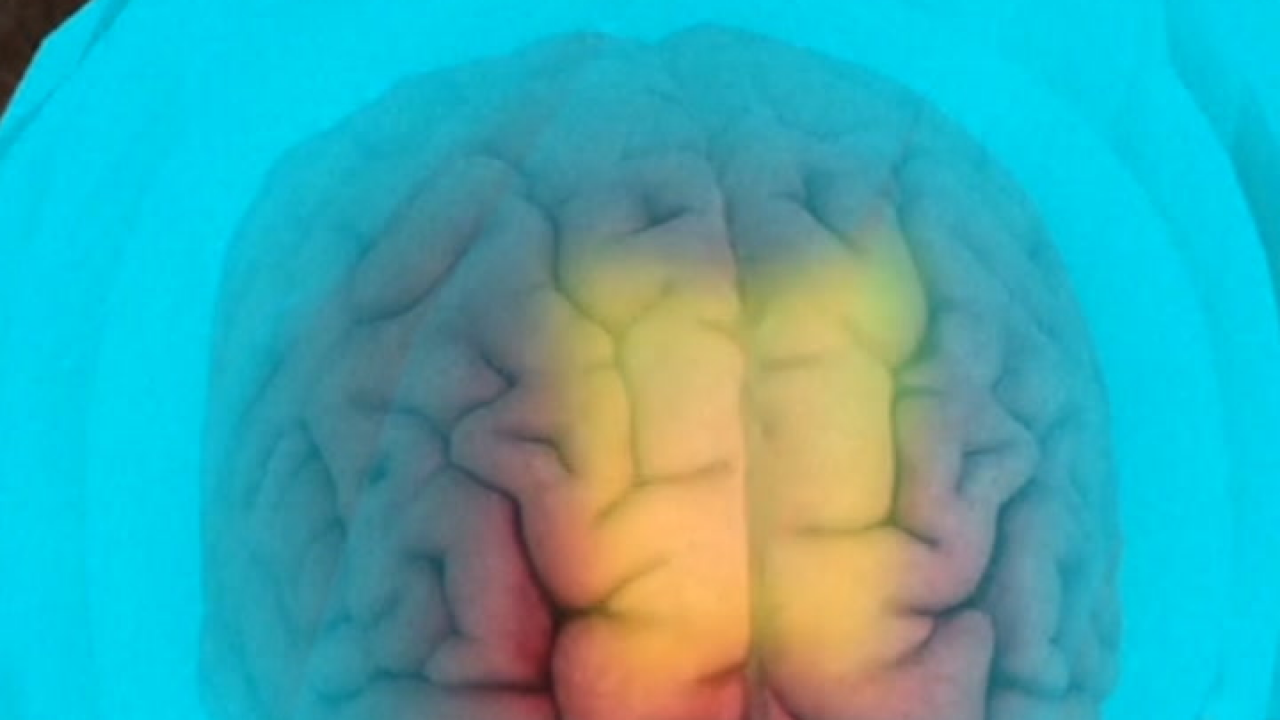 Here’s what your smartphone addiction is doing to your brain