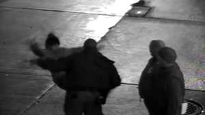 Raw Video: Violent arrest caught on Heinz Field cameras