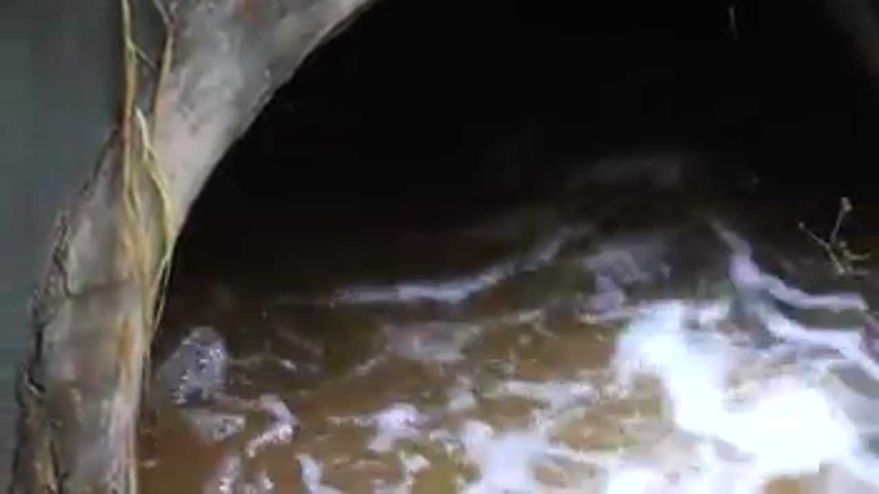 Scientists find $2M in gold flows through Switzerland’s sewage system every year
