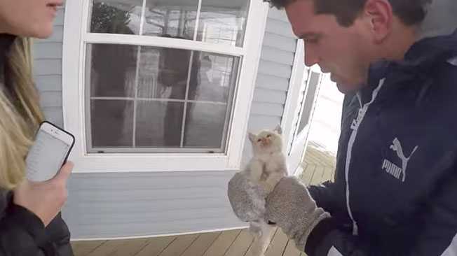 Kitten that was found frozen gets second chance at life