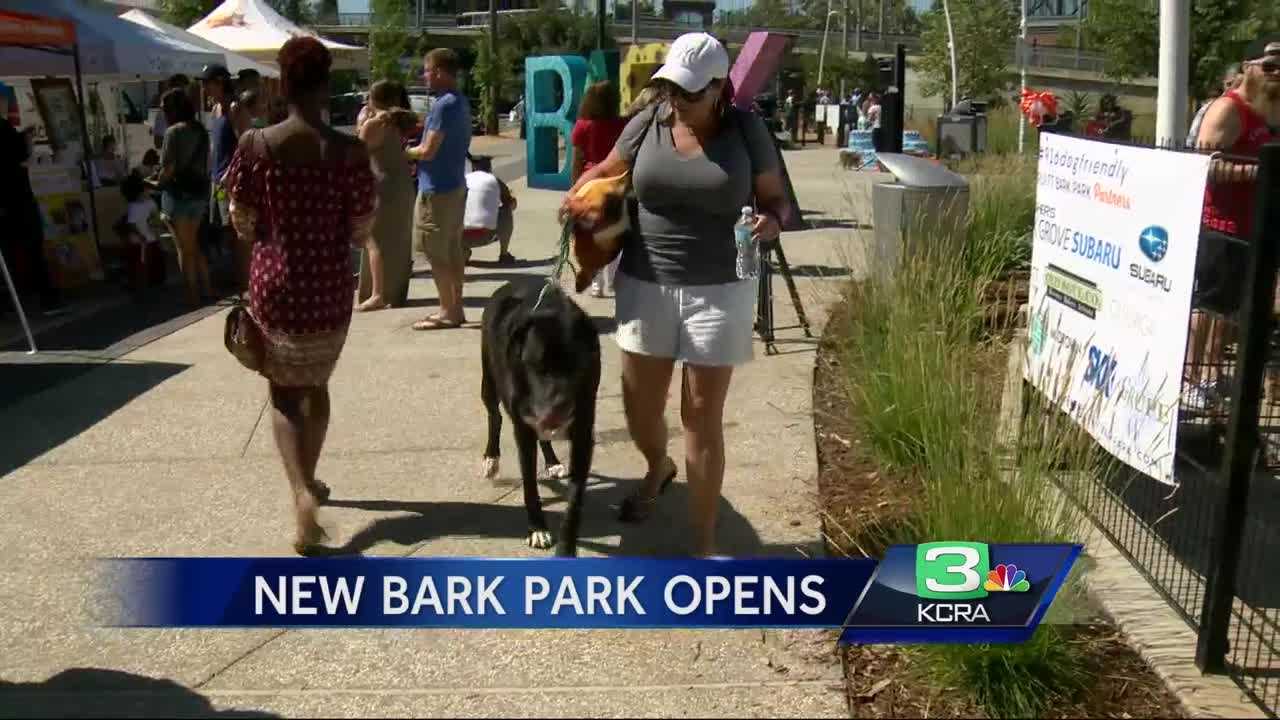 Sacramento's newest dog park opens after nearly million dollar, 3 year project