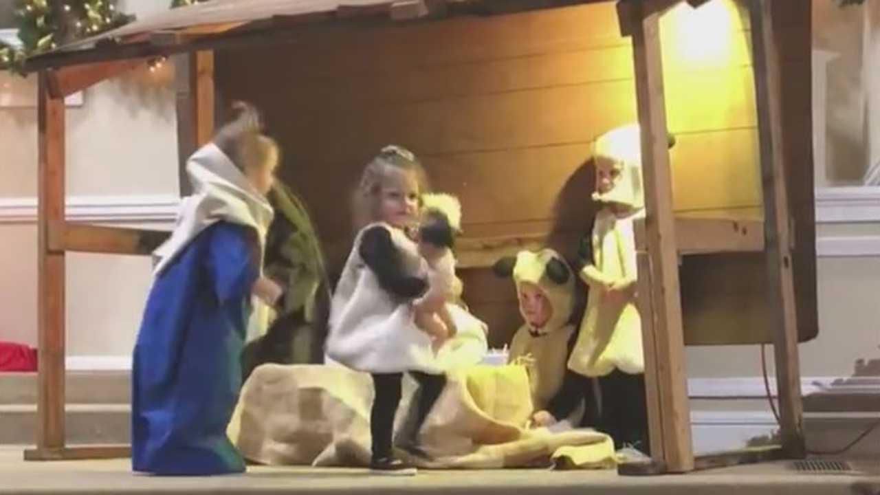 Sheep takes baby Jesus in children's nativity scene