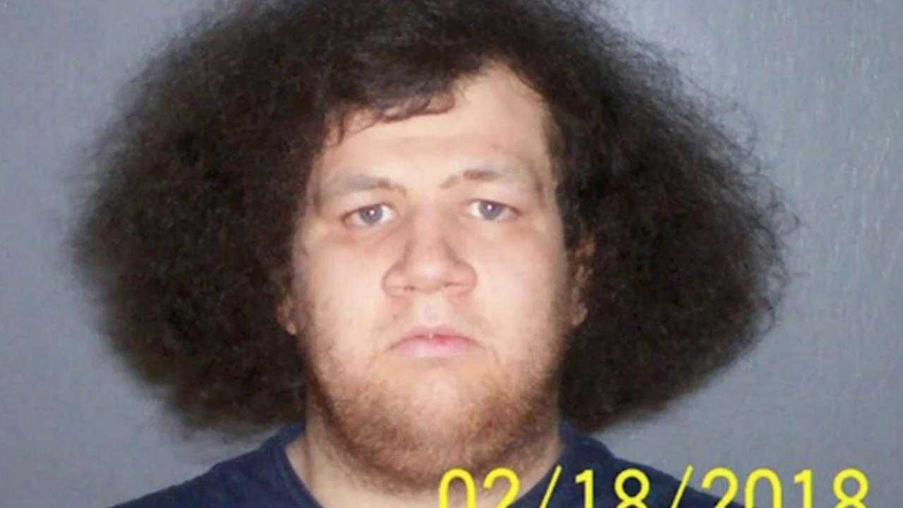 Police: Missing 11-year-old girl met alleged abductor on Minecraft