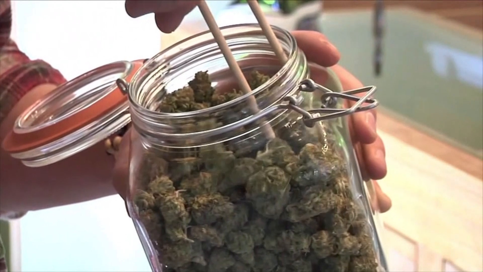 Higher education: University offers marijuana degree