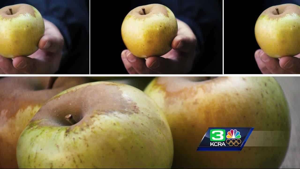 Farm to Fork: Best apple varieties
