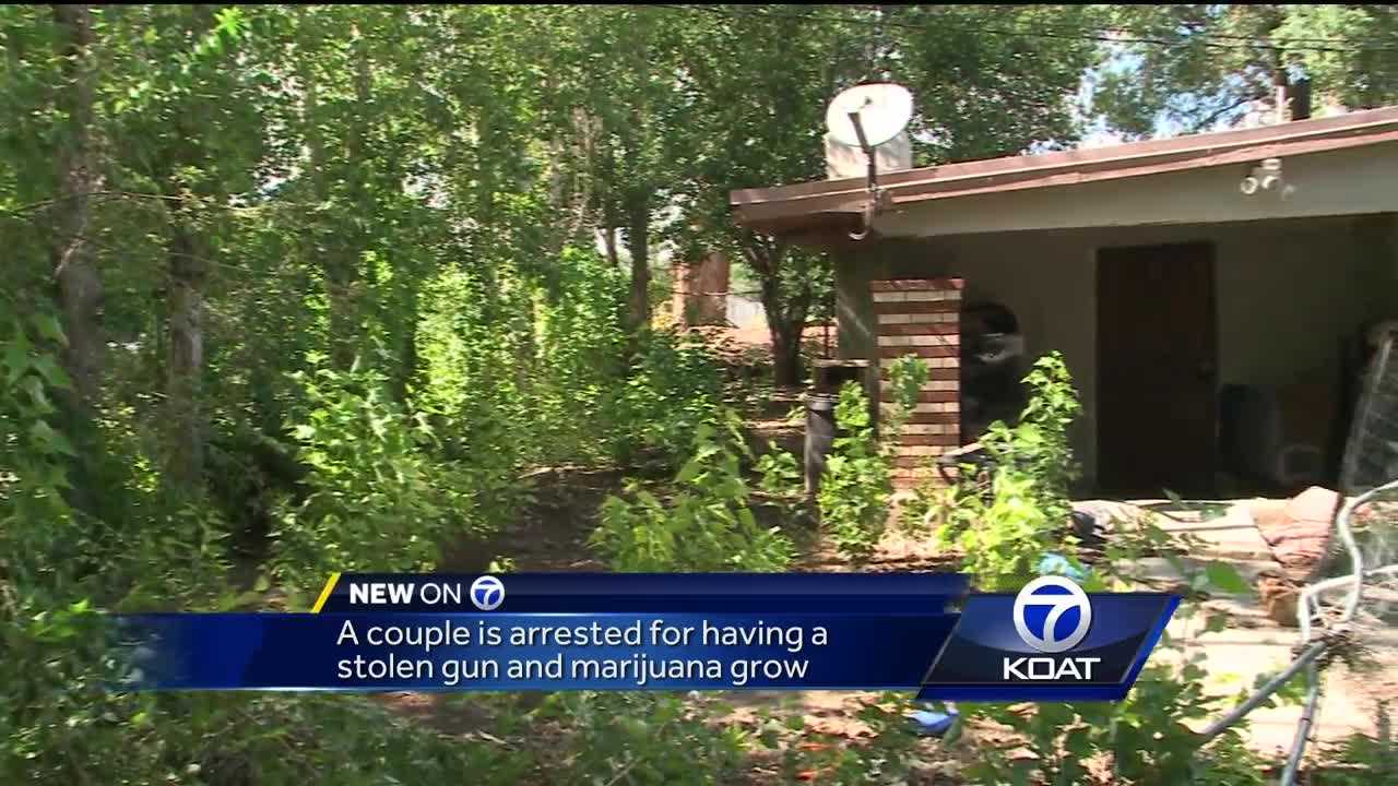 Couple arrested for pot grow and stolen gun