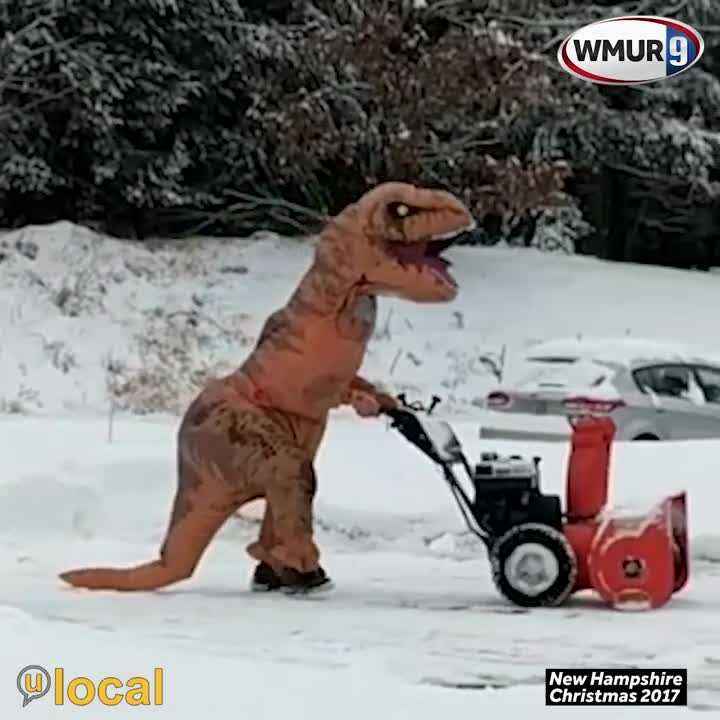 Halloween or Christmas? Man in T-Rex costume clears snow
