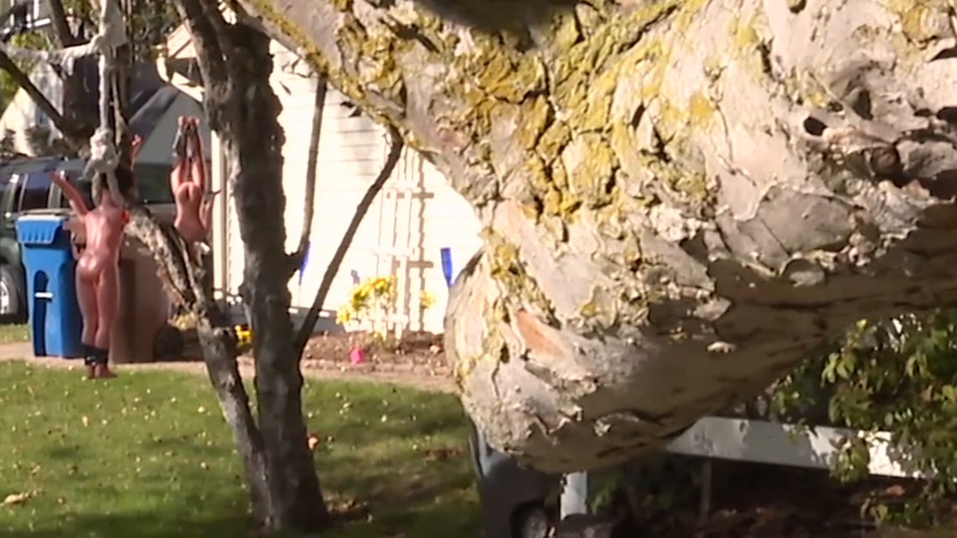 Neighbors disturbed by naked Halloween doll display