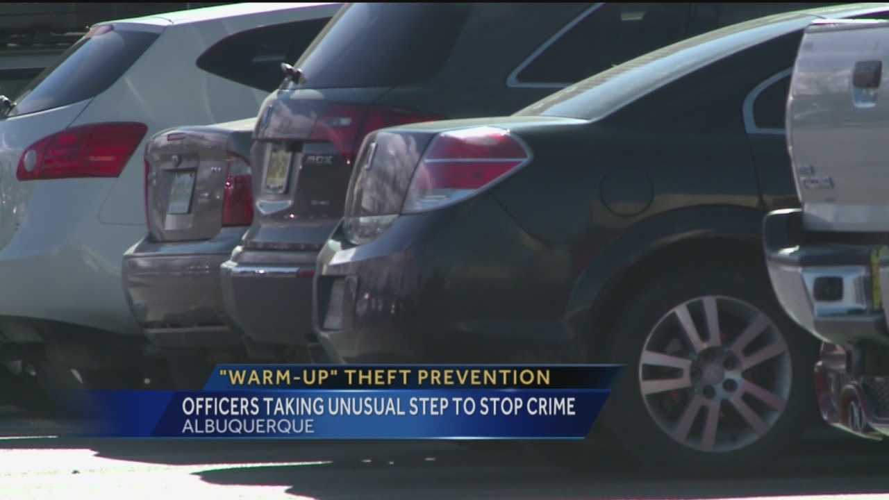 Car Warm Up Theft Prevention